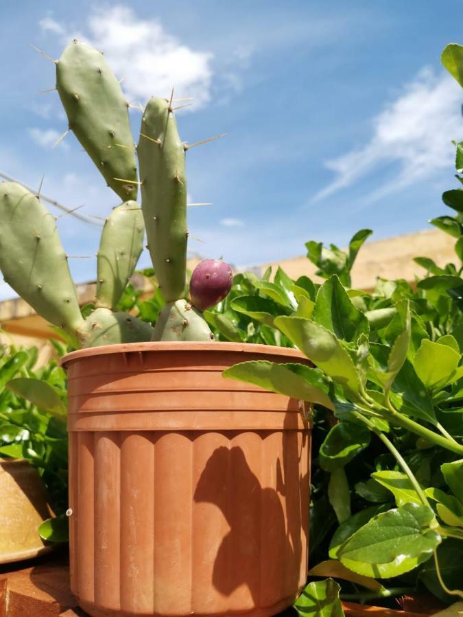 B&B Scogli Bianchi Lido di Noto Exteriér fotografie